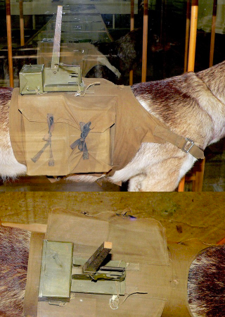 Illustration for article titled When Pets Get Drafted: The Bizarre History of Animal Soldiers